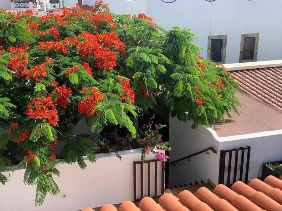 Villa Garoe Puerto de Las Nieves Exterior photo